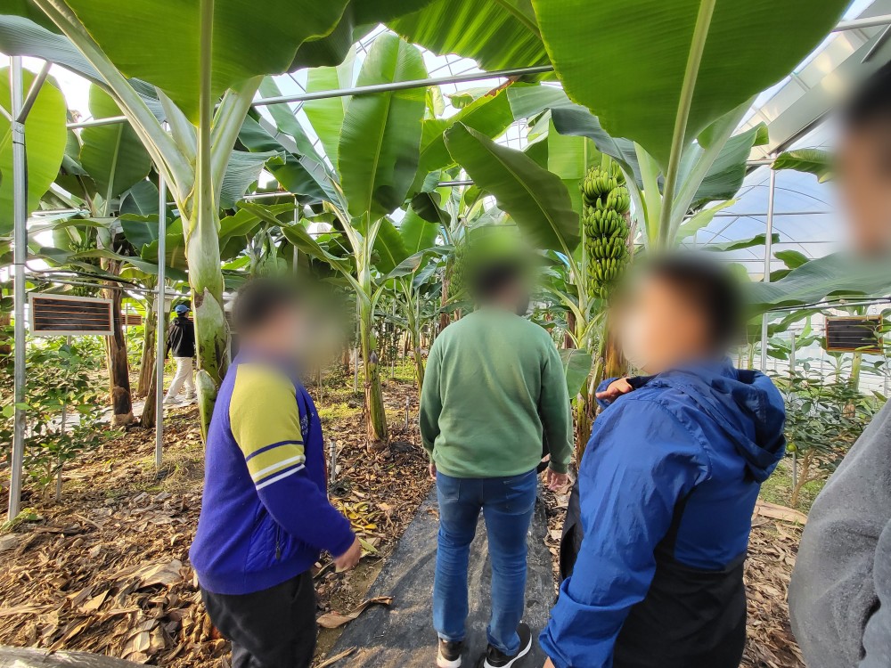 41db8d27f879dd34558c811b968e0d57_1754007680_6568.jpg